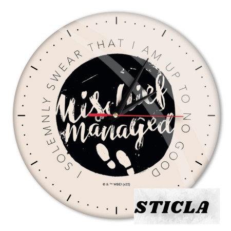 Ceas de Perete cu Licenta Harry Potter-Multicolor