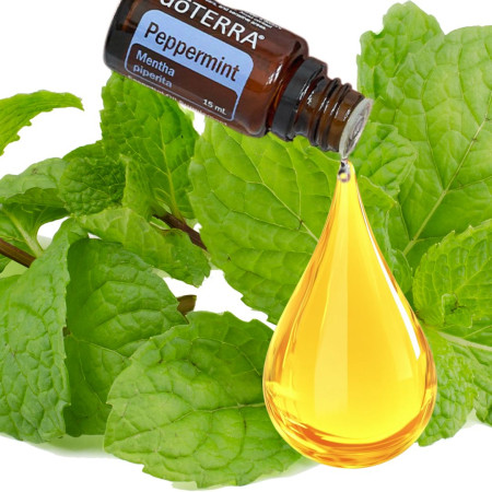 Ulei Esential Pur doTERRA Pepermint 15ml -Revirgorare si Respiratie Clara Ulei Esential Pur doTERRA Pepermint 15ml -Revirgorare si Respiratie Clara
