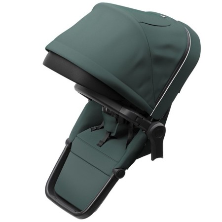 Accesoriu Thule Sleek Sibling Seat - Scaun suplimentar pentru Thule Sleek Mallard Green Accesoriu Thule Sleek Sibling Seat - Scaun suplimentar pentru Thule Sleek Mallard Green